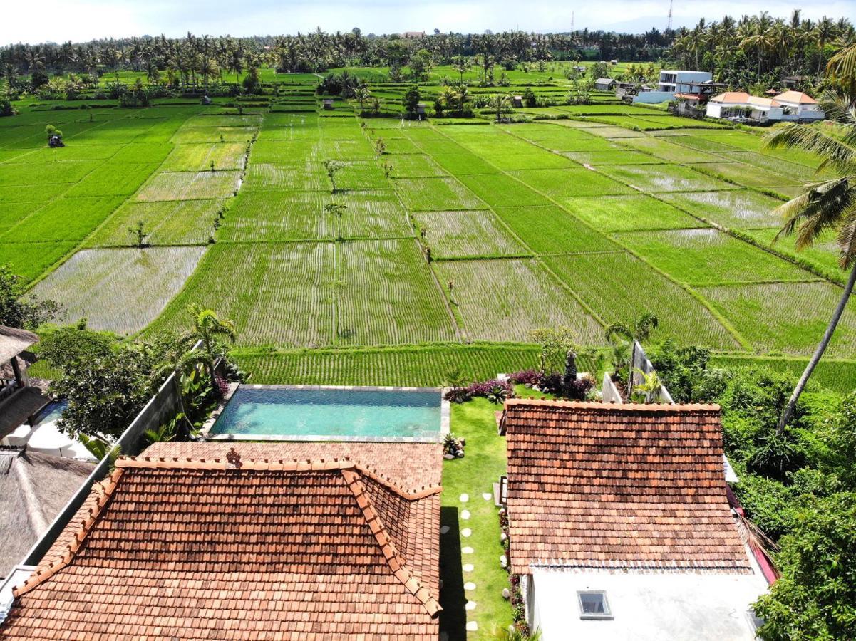 Villa O'Hea Ubud 外观 照片