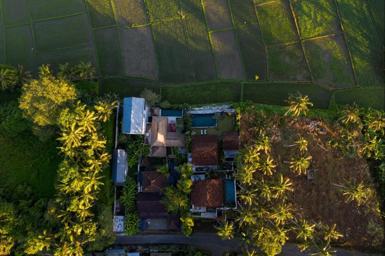 Villa O'Hea Ubud 外观 照片